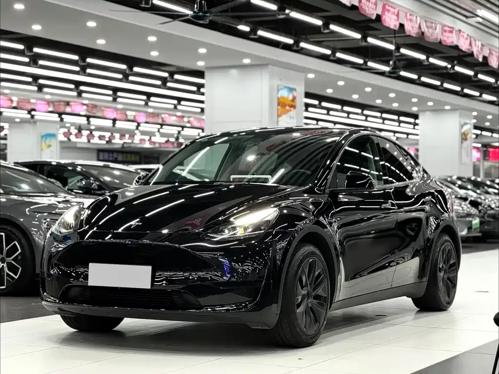 Tesla Model Y — фото 1