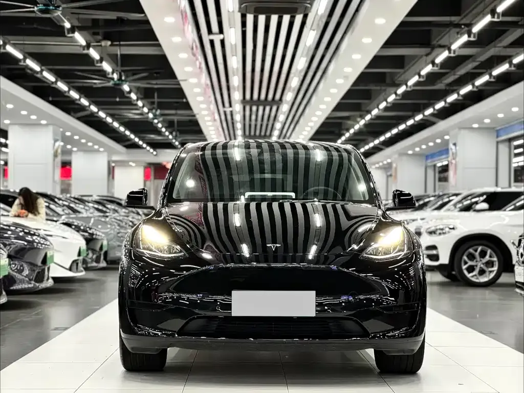 Tesla Model Y — фото 2
