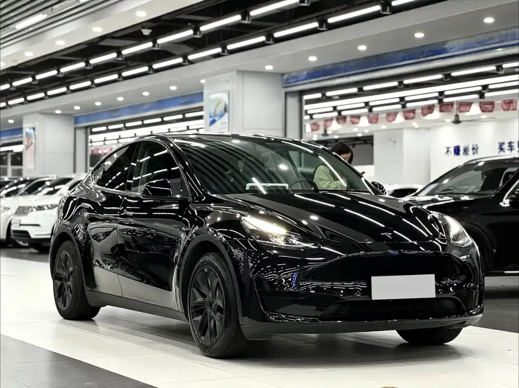 Tesla Model Y — фото 3