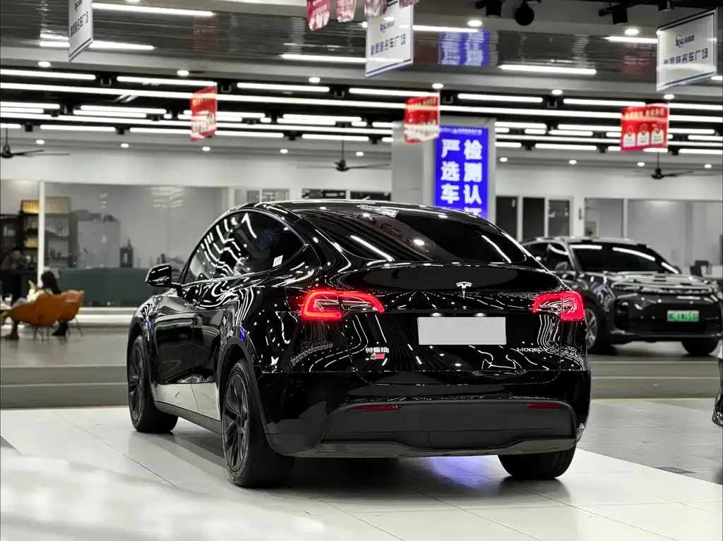 Tesla Model Y — фото 10