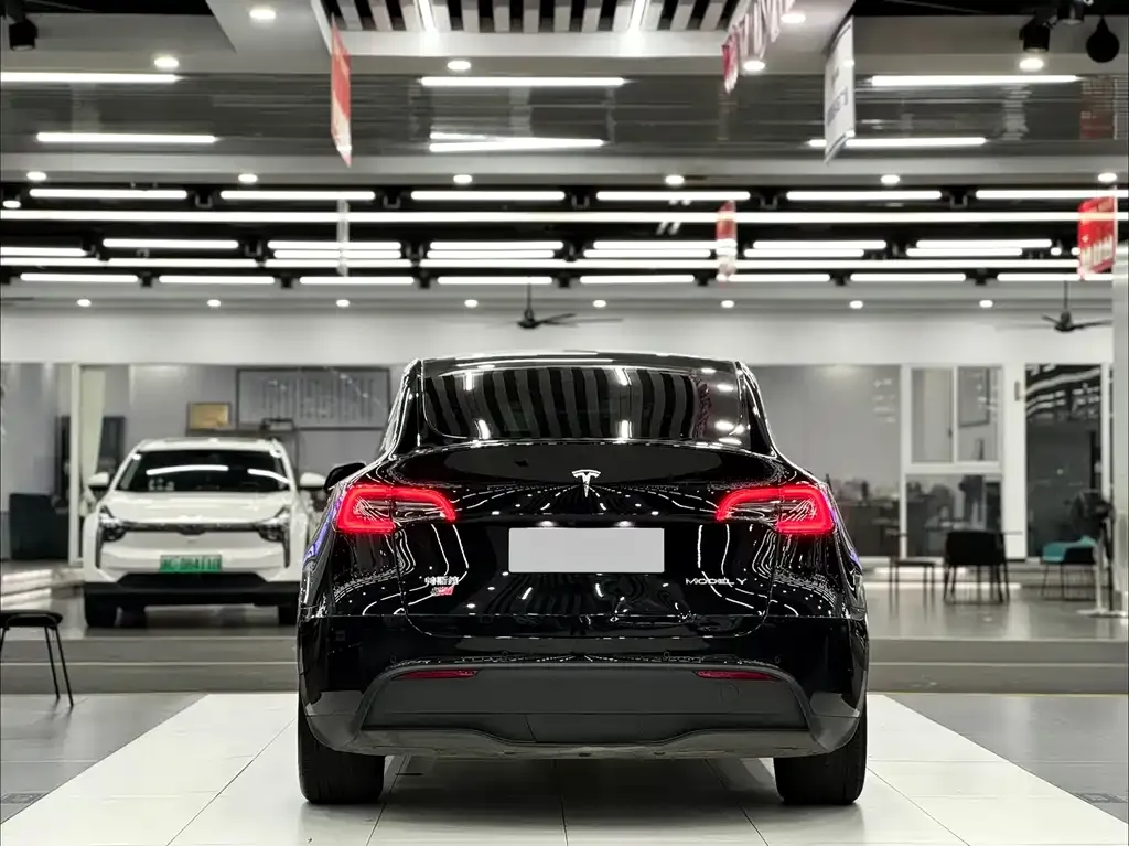 Tesla Model Y — фото 9