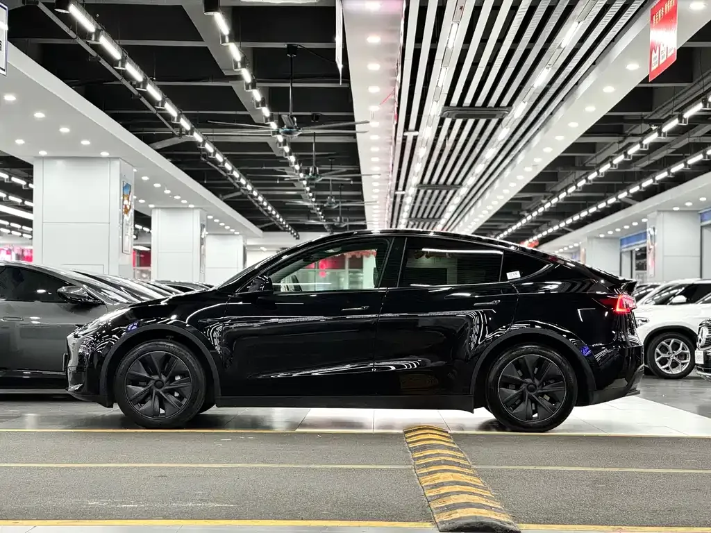 Tesla Model Y — фото 8