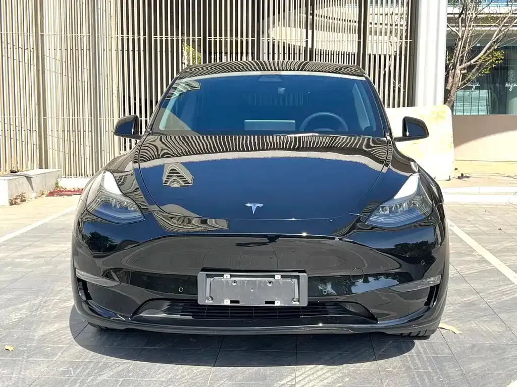 Tesla Model Y — фото 2