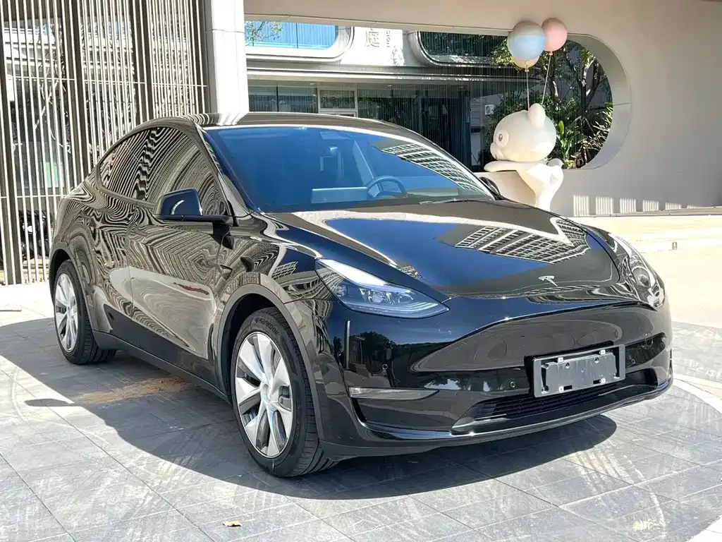 Tesla Model Y — фото 3