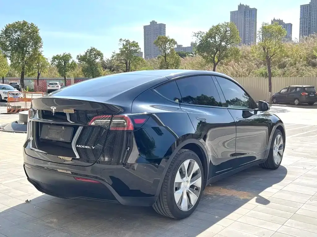 Tesla Model Y — фото 7