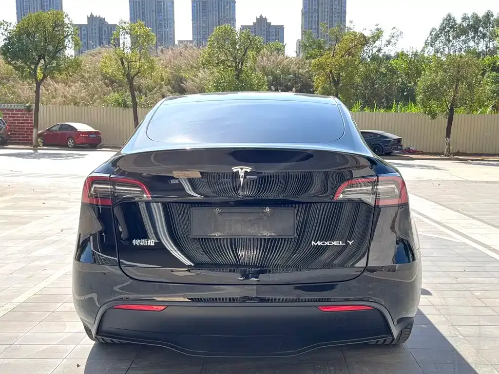 Tesla Model Y — фото 8