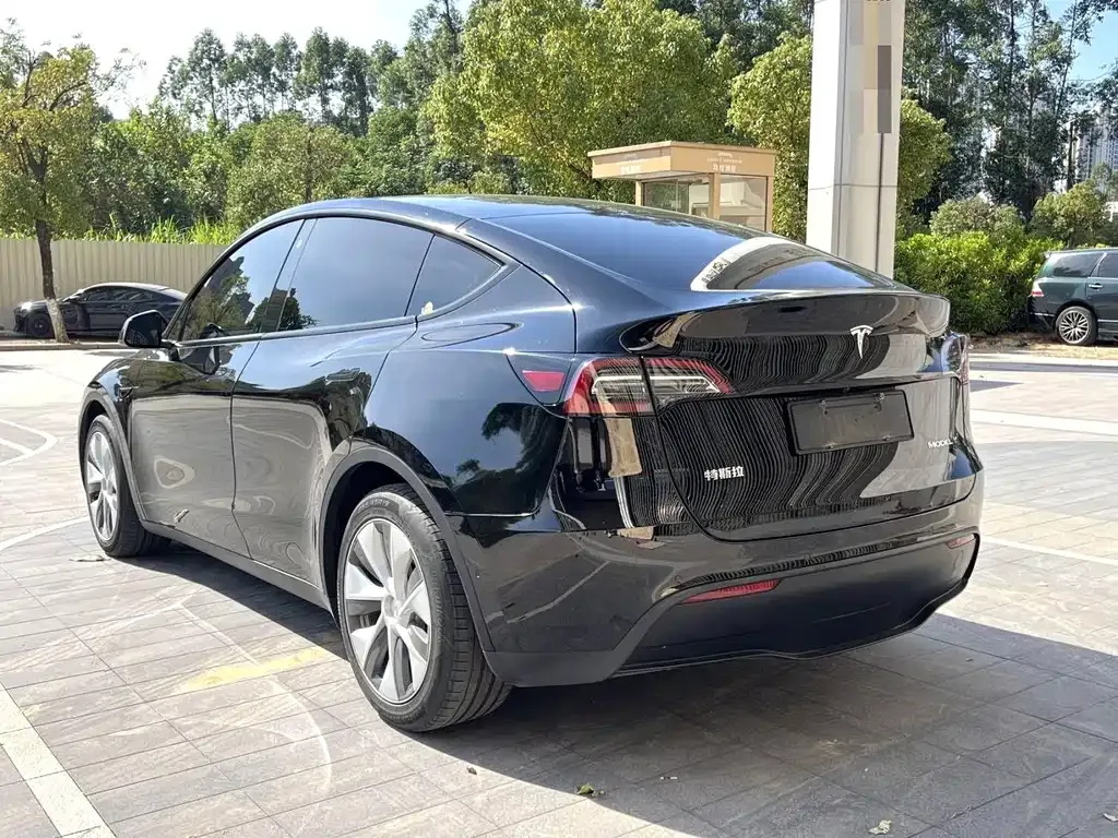 Tesla Model Y — фото 9