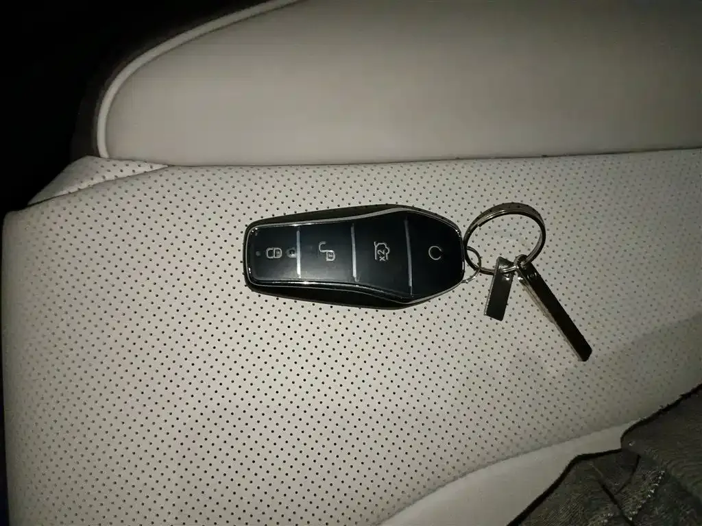 BYD PLUS New Energy 2025 из CN, фото 7