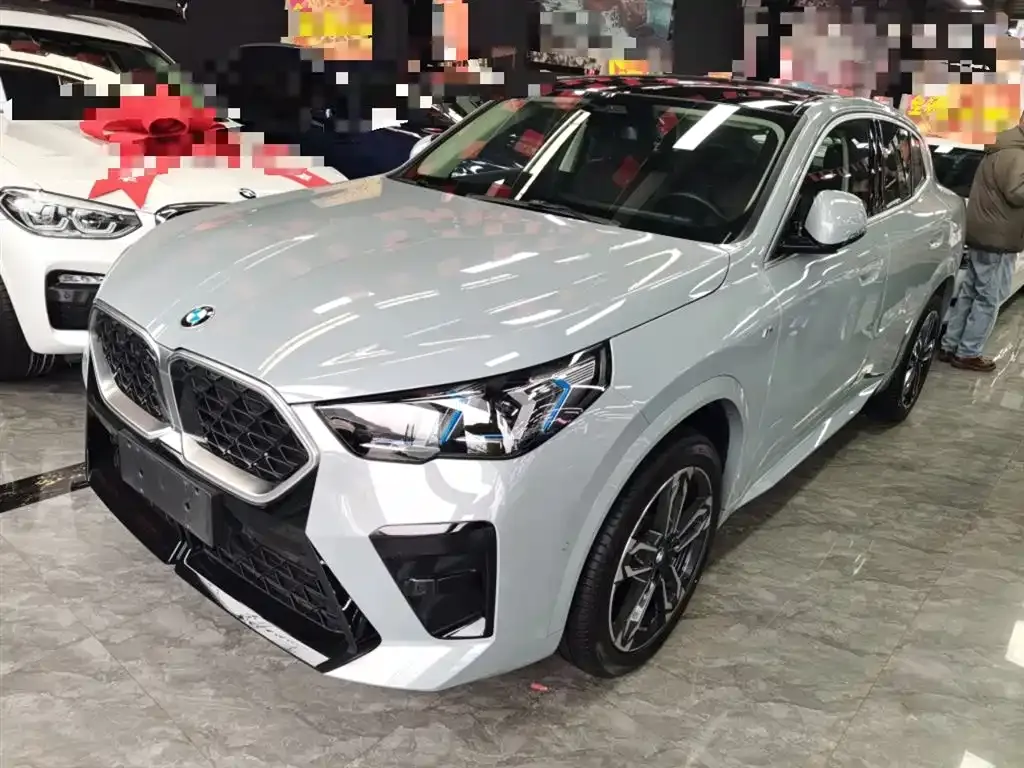 BMW X2 (Import) 2024 из CN, фото 1