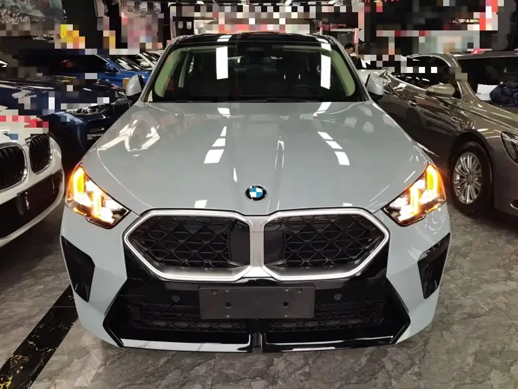 BMW X2 (Import) 2024 из CN, фото 8