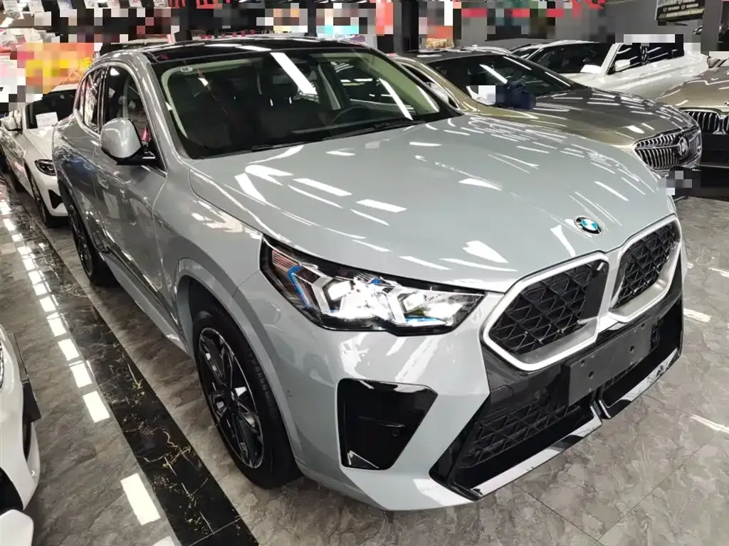 BMW X2 (Import) 2024 из CN, фото 5