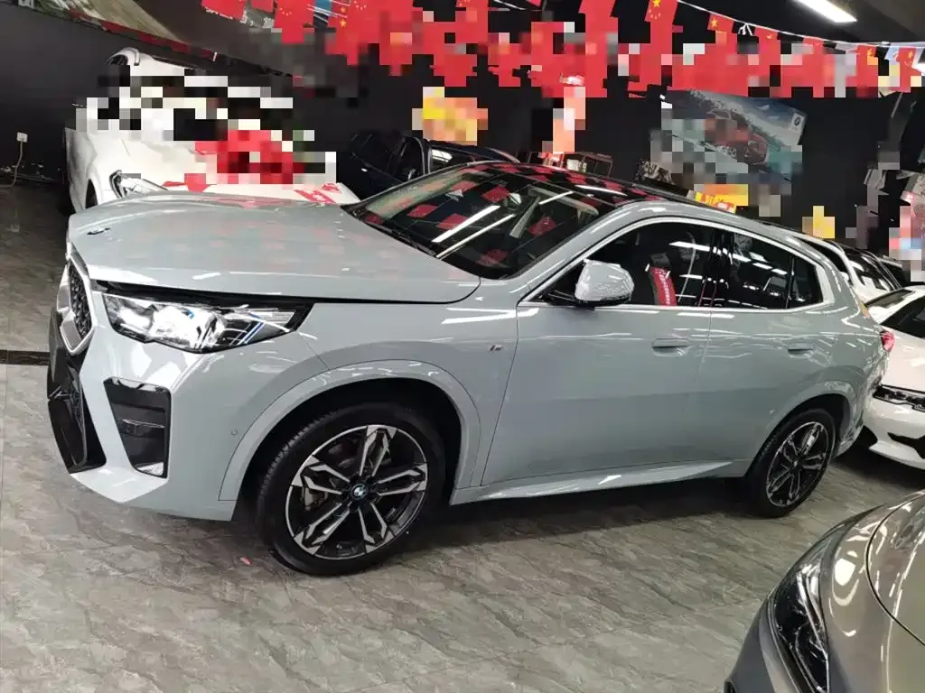 BMW X2 (Import) 2024 из CN, фото 4
