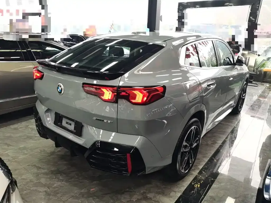 BMW X2 (Import) 2024 из CN, фото 3