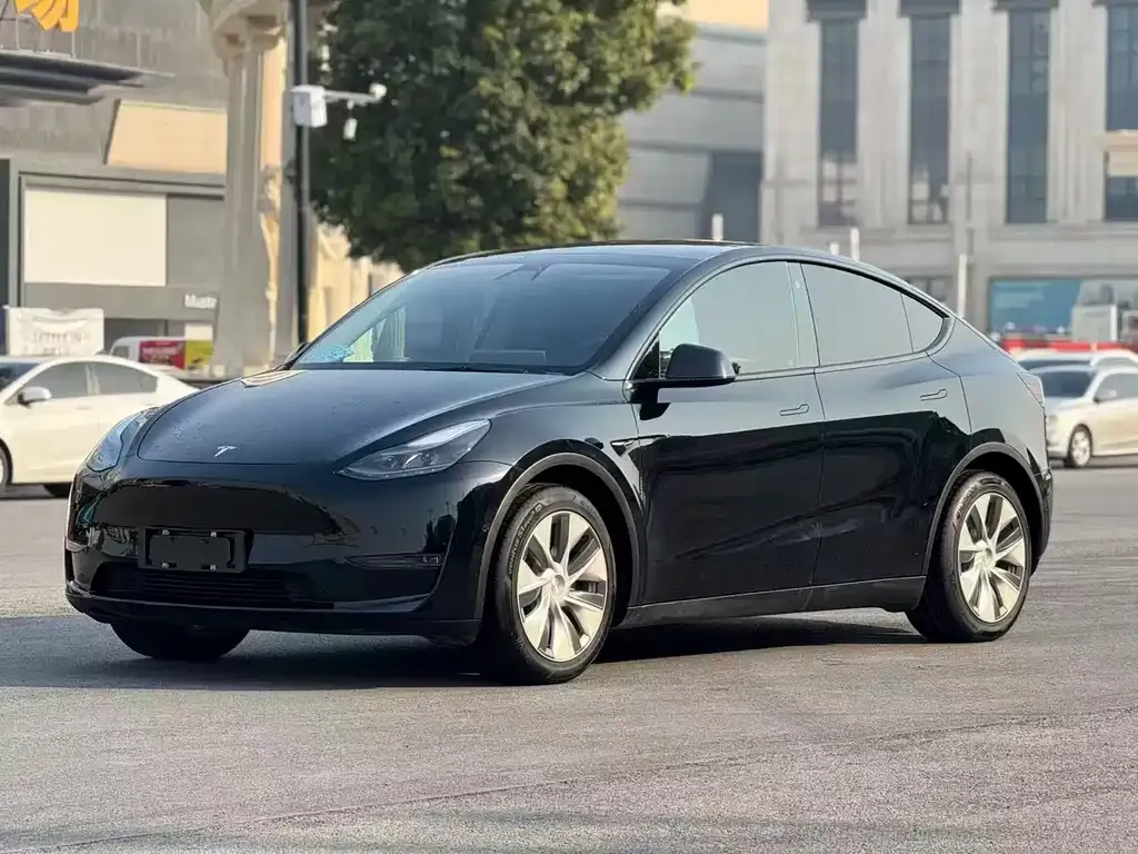 Tesla Model Y 2021 из CN, фото 1