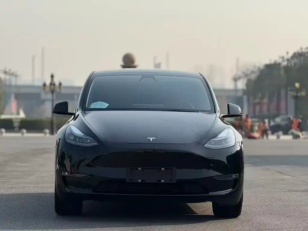 Tesla Model Y 2021 из CN, фото 2