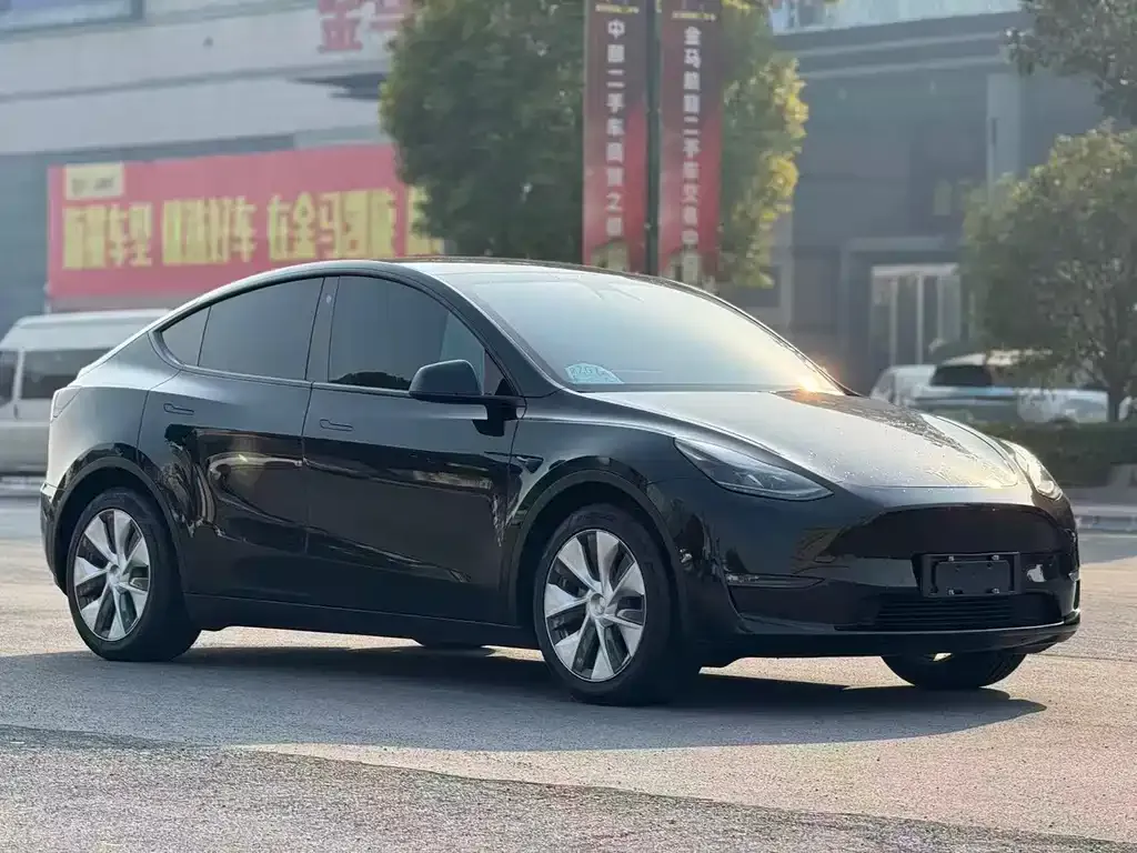 Tesla Model Y 2021 из CN, фото 3