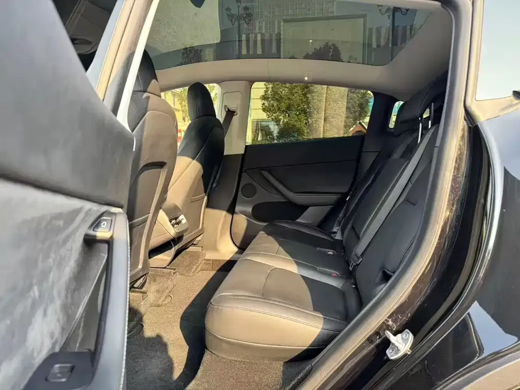 Tesla Model Y 2021 из CN, фото 5
