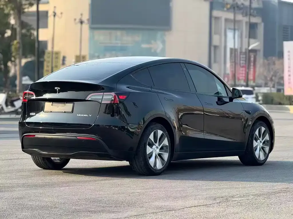 Tesla Model Y 2021 из CN, фото 7