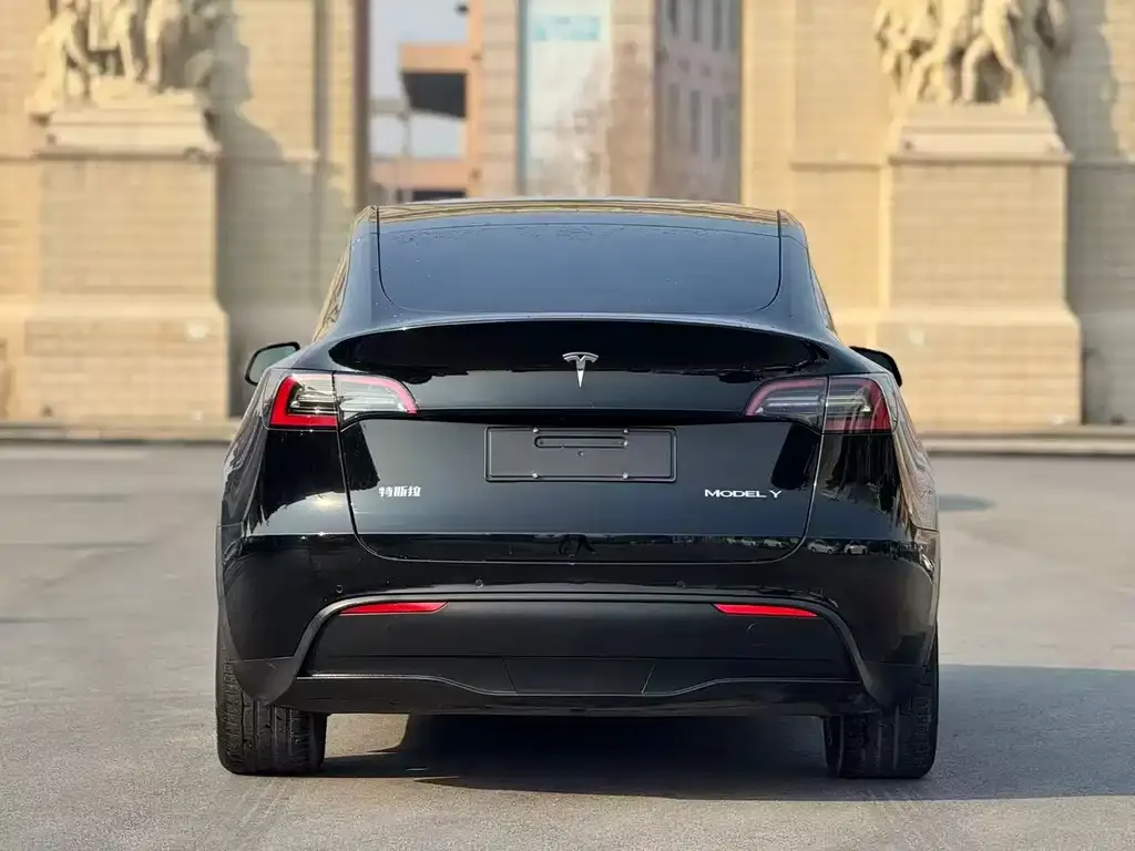 Tesla Model Y 2021 из CN, фото 8