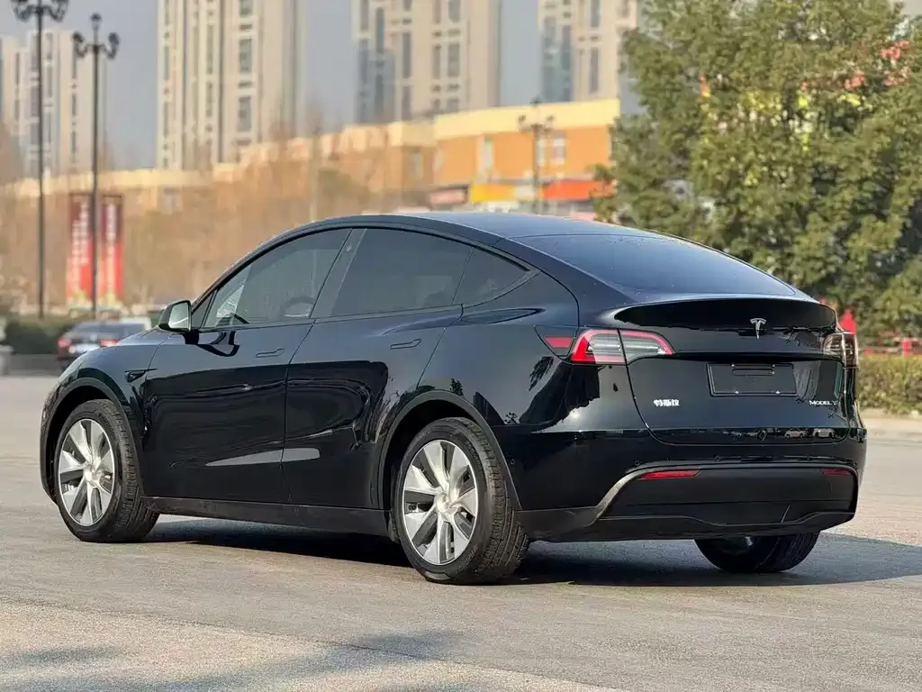 Tesla Model Y 2021 из CN, фото 9