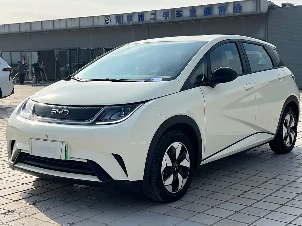 BYD Dolphin 2025 из CN, фото 1