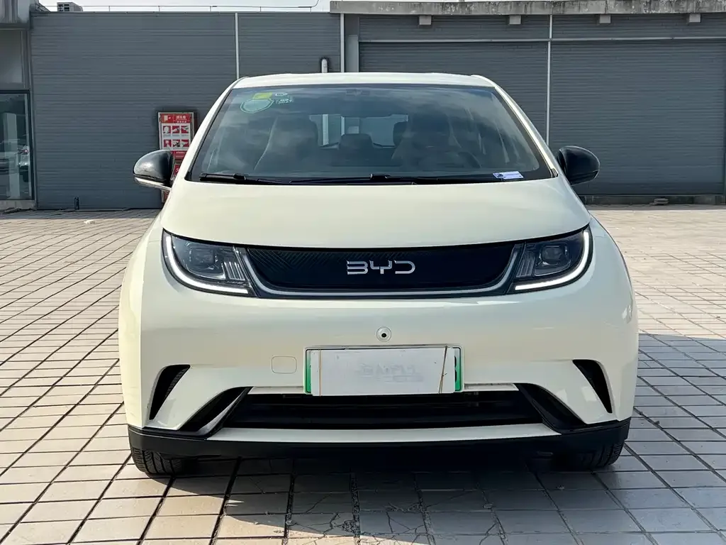 BYD Dolphin 2025 из CN, фото 2