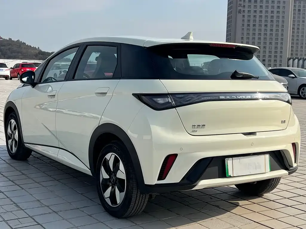 BYD Dolphin 2025 из CN, фото 4