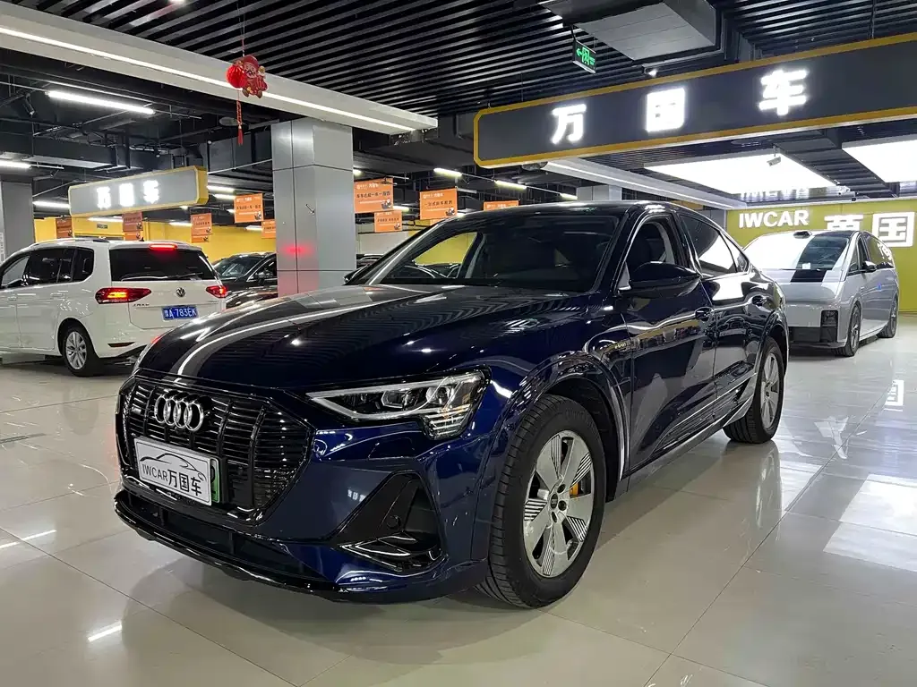 Audi e-tron (Import) 2022 из CN, фото 9