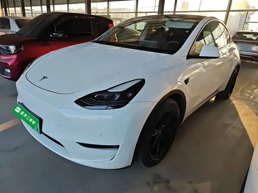 Tesla Model Y 2021 из CN, фото 10