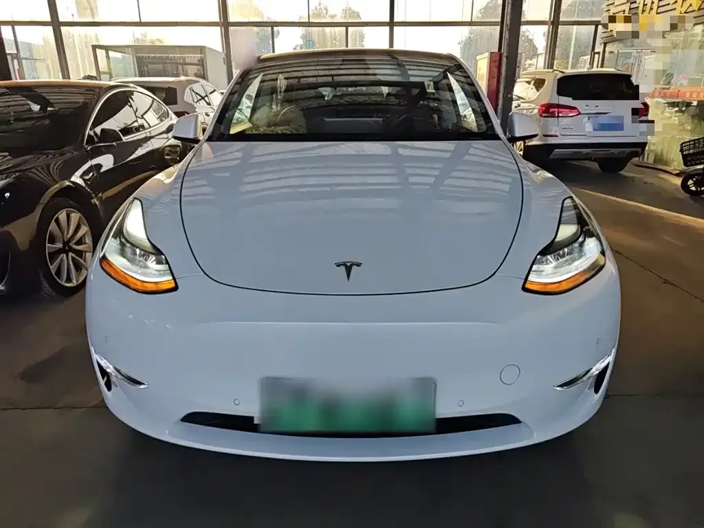 Tesla Model Y 2021 из CN, фото 3