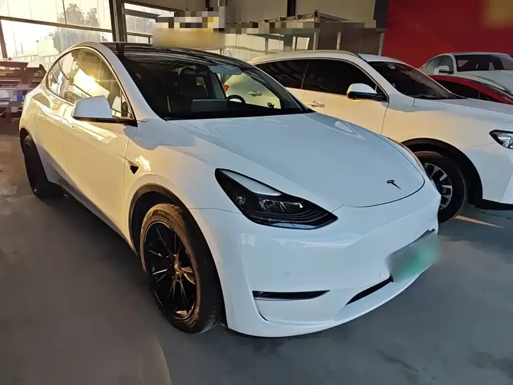 Tesla Model Y 2021 из CN, фото 6
