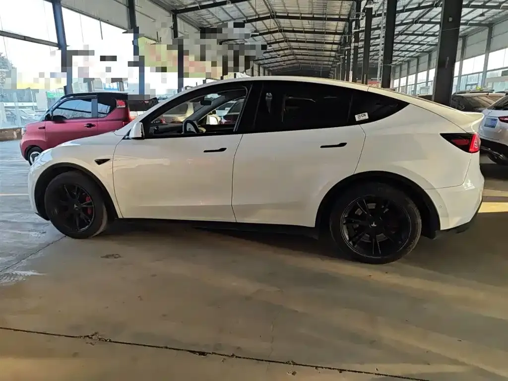 Tesla Model Y 2021 из CN, фото 7