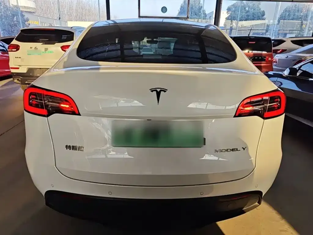 Tesla Model Y 2021 из CN, фото 9