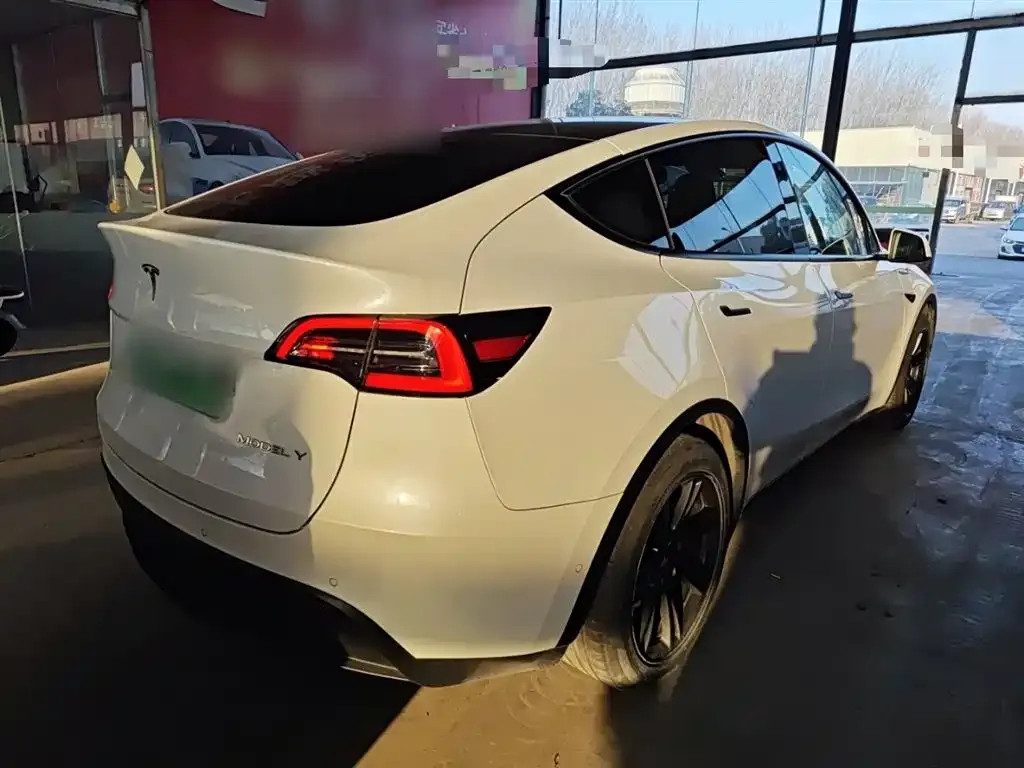 Tesla Model Y 2021 из CN, фото 8