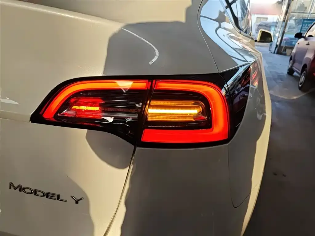 Tesla Model Y 2021 из CN, фото 5