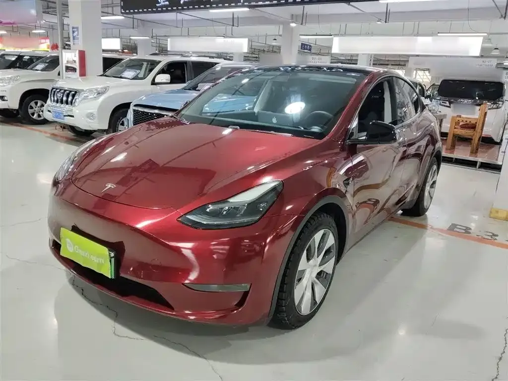 Tesla Model Y 2021 из CN, фото 1