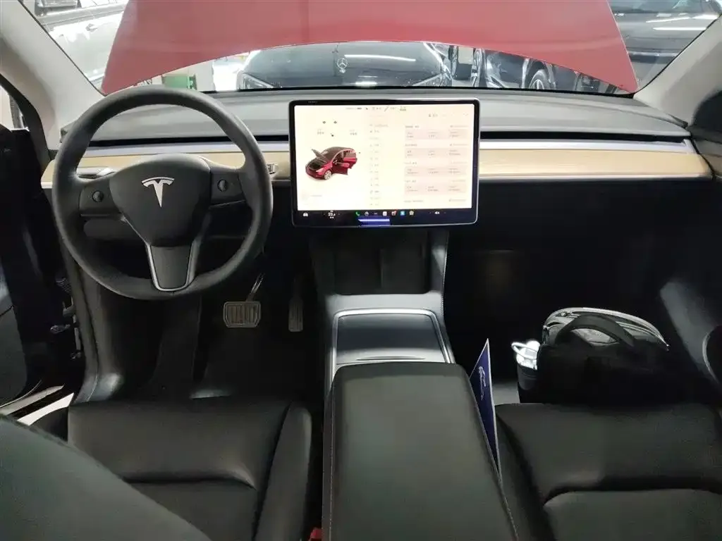 Tesla Model Y 2021 из CN, фото 4