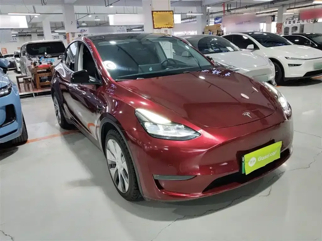 Tesla Model Y 2021 из CN, фото 2