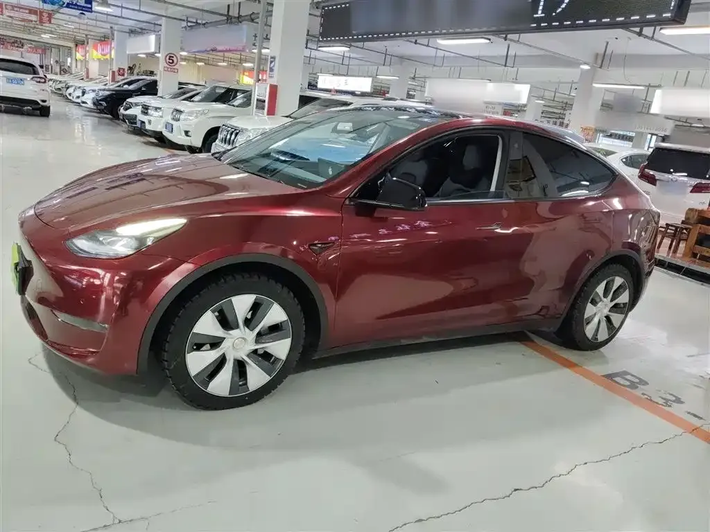 Tesla Model Y 2021 из CN, фото 7
