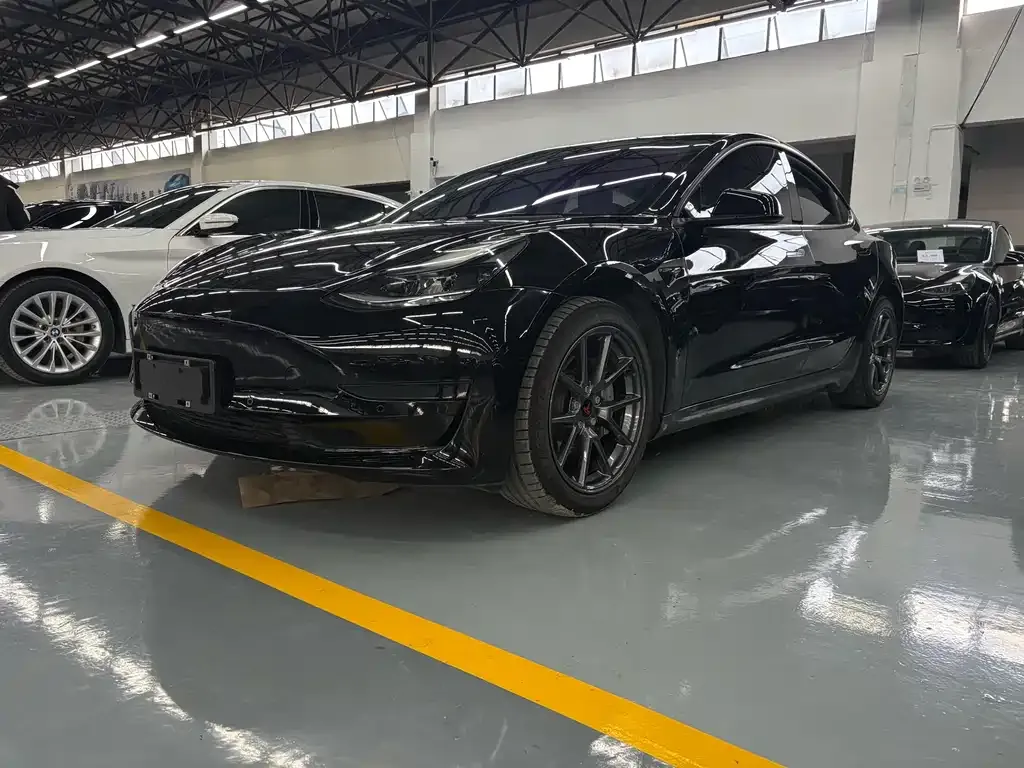 Tesla Model 3 2021 из CN, фото 1