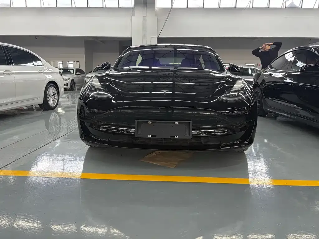 Tesla Model 3 2021 из CN, фото 2