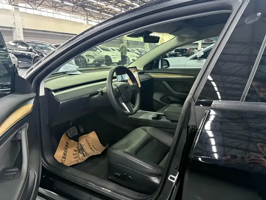 Tesla Model 3 2021 из CN, фото 4
