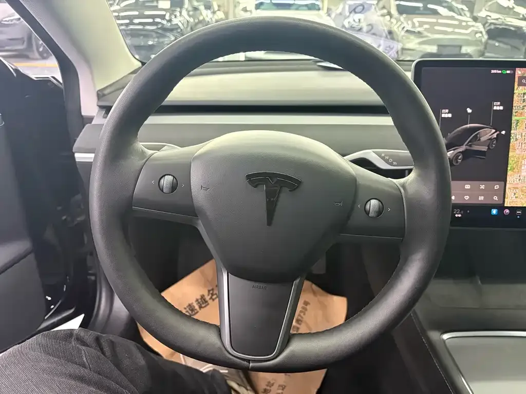 Tesla Model 3 2021 из CN, фото 5