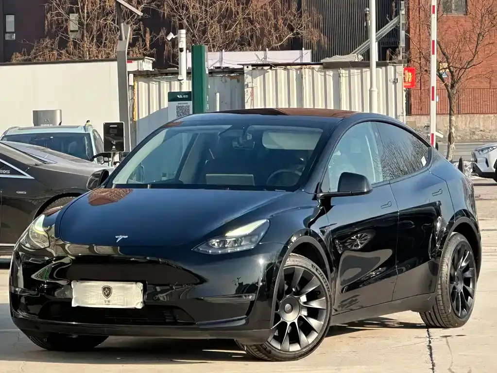 Tesla Model Y 2021 из CN, фото 1
