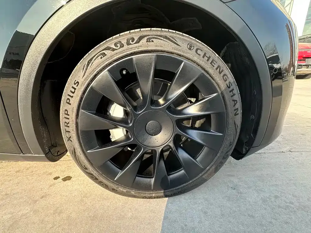Tesla Model Y 2021 из CN, фото 10