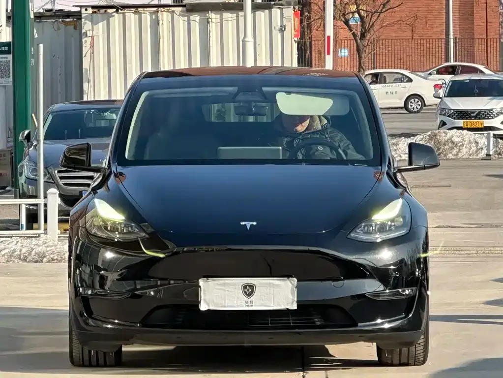 Tesla Model Y 2021 из CN, фото 2