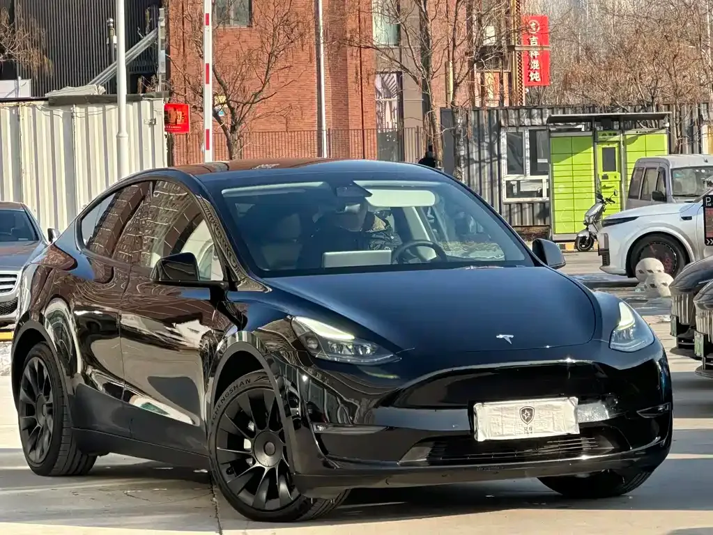 Tesla Model Y 2021 из CN, фото 3