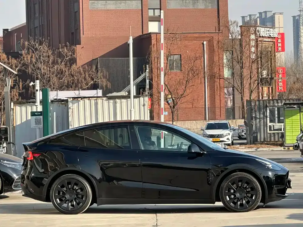 Tesla Model Y 2021 из CN, фото 4