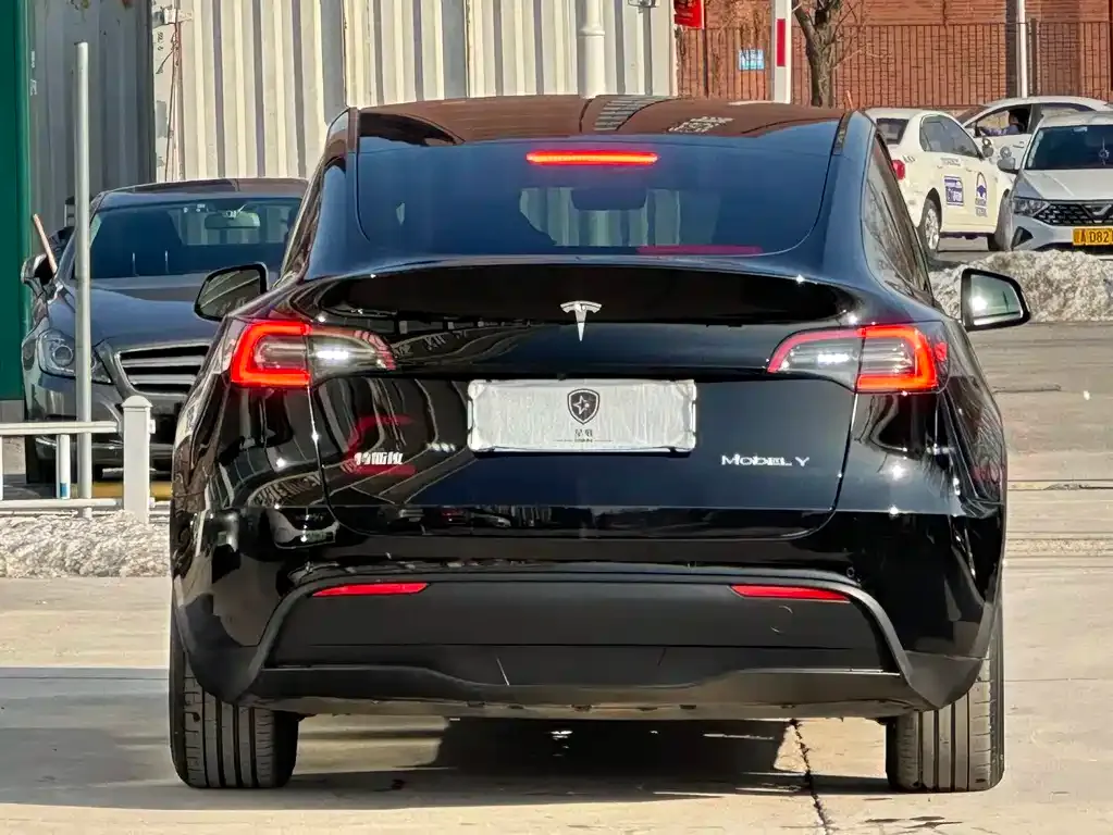 Tesla Model Y 2021 из CN, фото 5