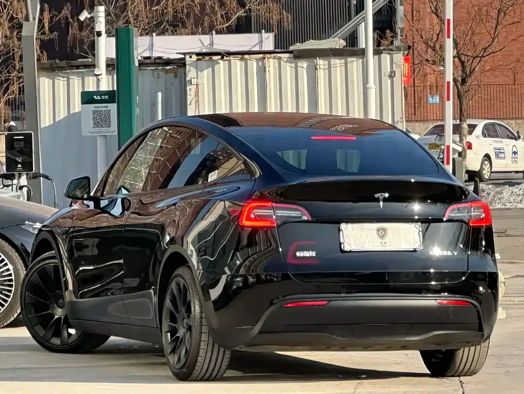 Tesla Model Y 2021 из CN, фото 6